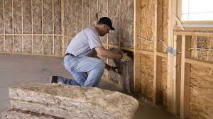 Best Basement Insulation  in Kingsville, MD